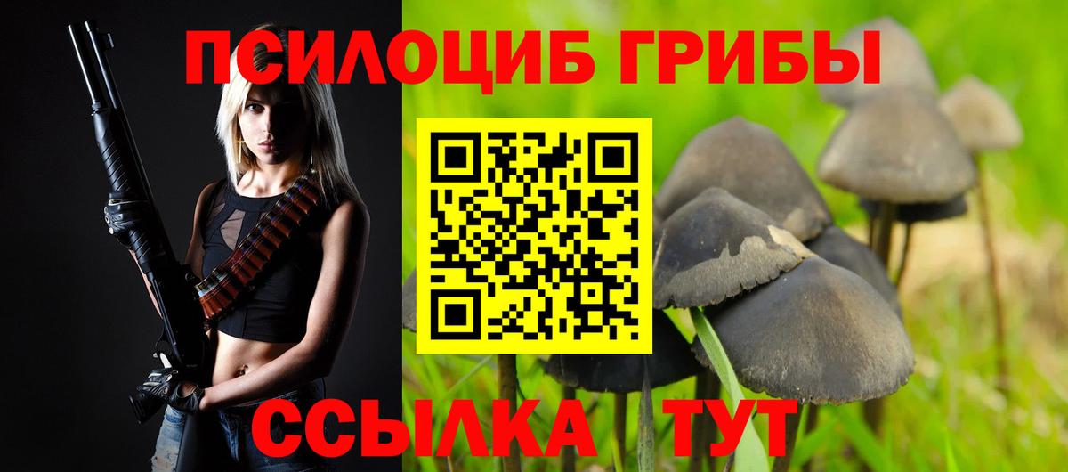 Галлюциногенные грибы Cubensis  Псилоцибиновые грибы мухоморы  Вход с VPN  Кузнецк 